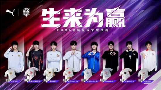 社群生态 社群生态