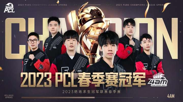两项 两项